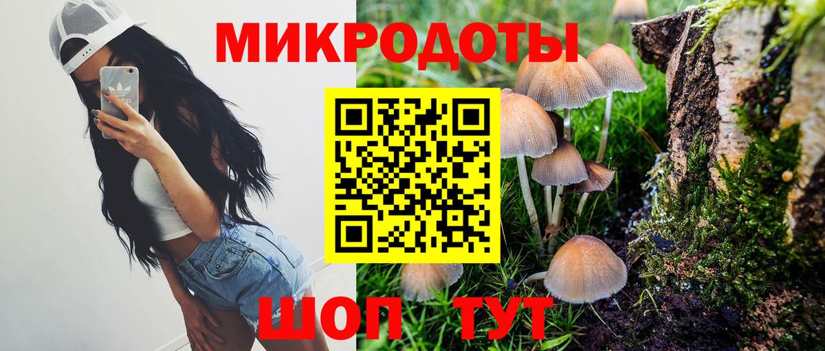 Галлюциногенные грибы GOLDEN TEACHER  Вход с VPN  Новочеркасск 