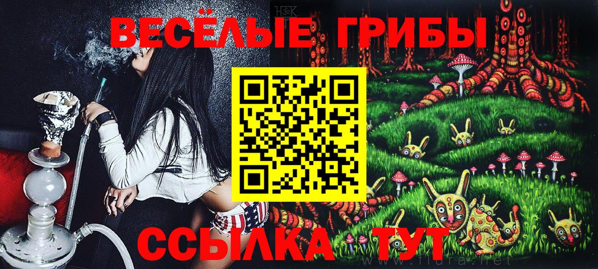 Псилоцибиновые грибы мицелий Новочеркасск